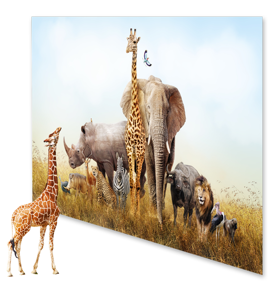 Giraffe schaut hinauf zu Megagroßformat-Banner mit Tieren in der afrikanischen Savanne