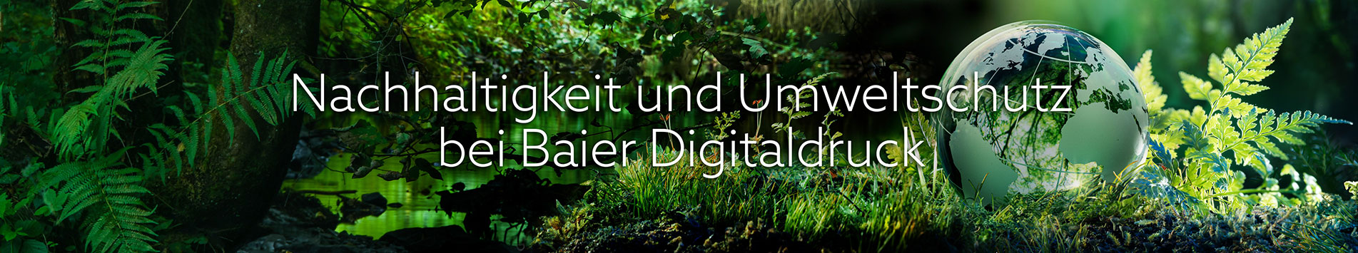 Nachhaltigeit und Umweltschutz bei Baier Digitaldruck