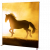 Displayrahmensystem Light Frame mit Pferd, im Gegenlicht fotografiert