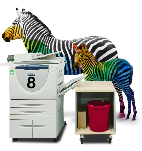 zur Hälfte buntes, zur Hälfte schwarz-weißes Zebra mit buntem Fohlen steht hinter Kopierer-Arbeitsplatz Nr. 8