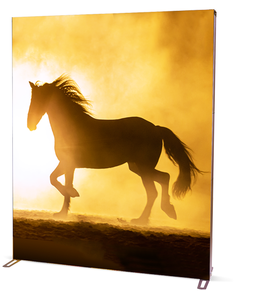Displayrahmensystem Light Frame mit Pferd, im Gegenlicht fotografiert
