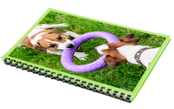Plastikringbindung mit Coverfoto von zwei Terriern, die an einem Ring ziehen
