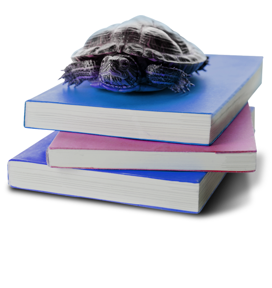 Schildkröte auf Bücherstapel mit unkaputtbaren PUR-Klebebindungen