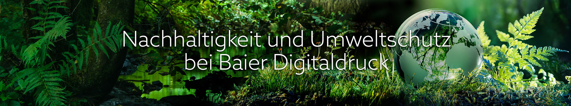 Nachhaltigkeit und Umweltschutz bei Baier Digitaldruck
